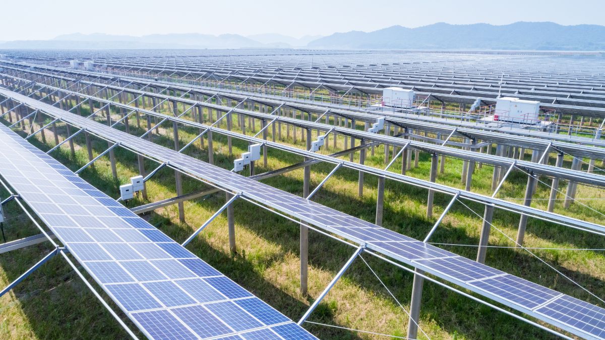 solar farming