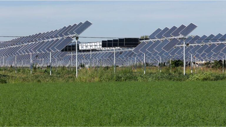 Growing Green Energy: The Benefits of Agrivoltaics on Farms
