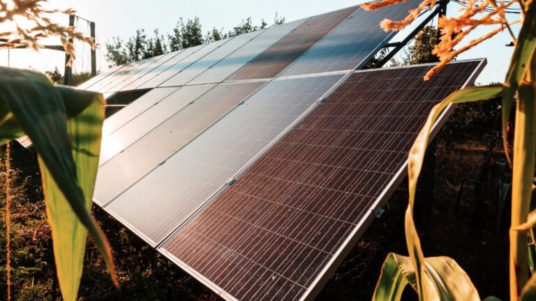 Take Control of Your Energy: DIY Guide to Off-Grid Solar System