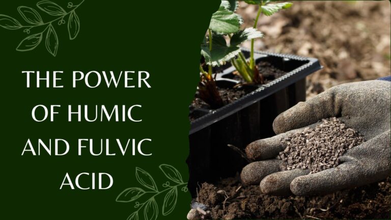 Maximizing Plant Growth With The Power of Humic and Fulvic Acid