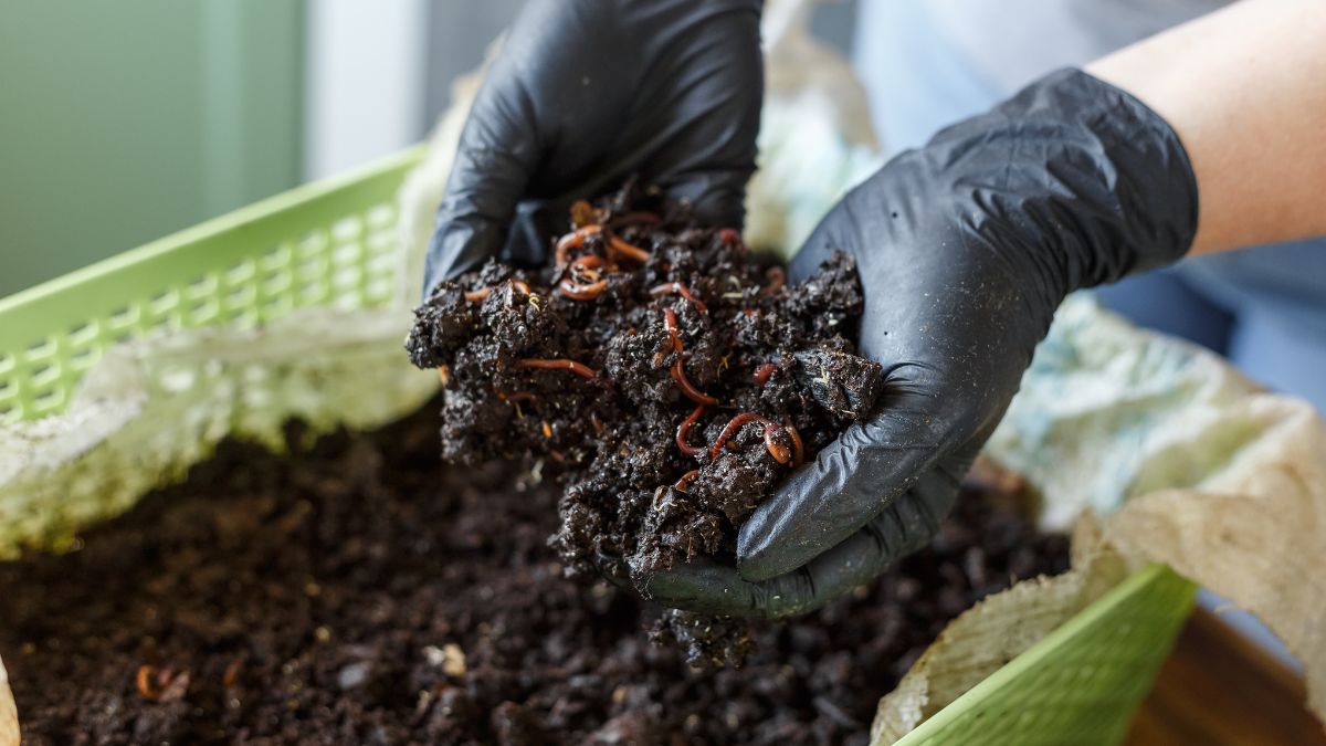 sustainable home composting techniques