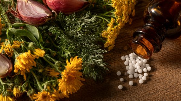 fresh yellow Arnica flowers next to an amber glass bottle and white homeopathic remedies pellets