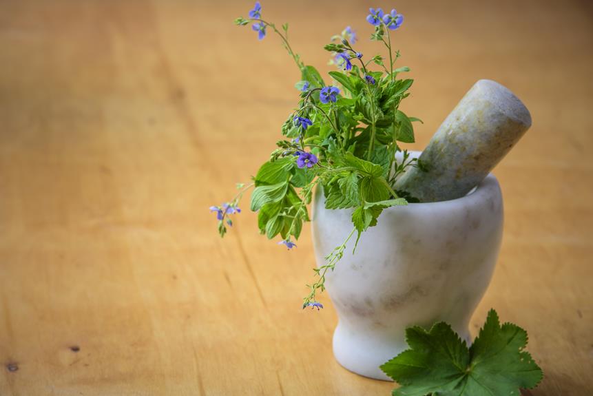 revolutionizing herbal medicine advancements