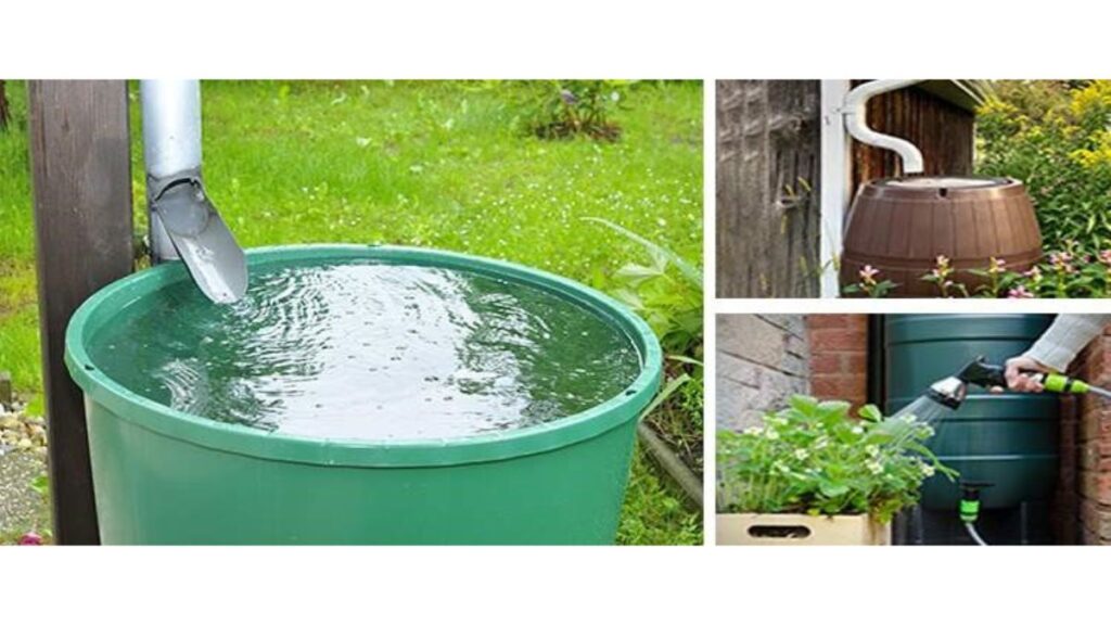 the self-sufficient backyard DIY water collection