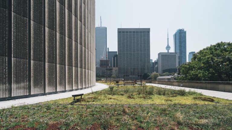 How-To Guide: Advantages of Urban Green Landscaping