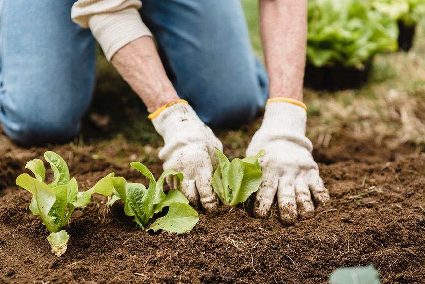 preventing plant diseases with proactive garden care