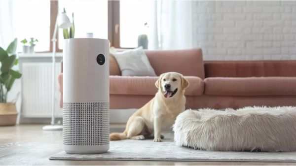 7 Winners of the Best Air Purifier for Pets to Keep Your Home Fresh