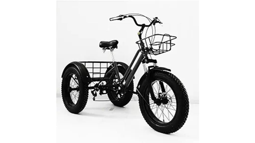 electric tricycle with fat tires