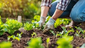 organic pest control for vegetable gardens